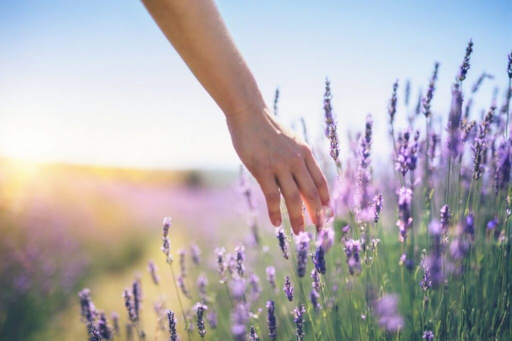 Family Constellations Calgary, healing family trauma